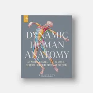 DYNAMIC HUMAN ANATOMY - AN ARTIST'S GUIDE TO STRUCTURE, GESTURE