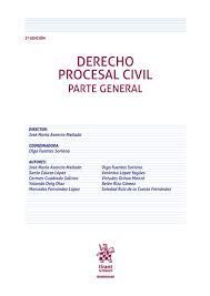 DERECHO PROCESAL CIVIL 2ª EDICIÓN 2024