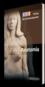 EVA  ANATOMÍA. FICHAS DE AUTOEVALUACIÓN