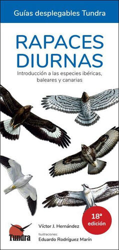 RAPACES DIURNAS - GUIAS DESPLEGABLES TUNDRA