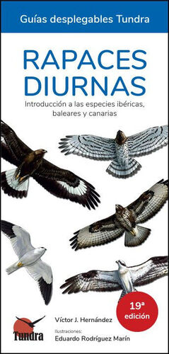 RAPACES DIURNAS