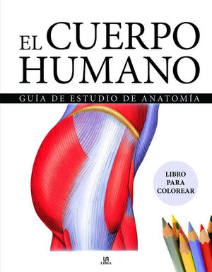 CUERPO HUMANO, EL