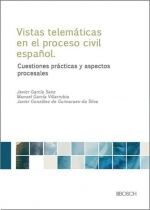 LAS VISTAS TELEMÁTICAS EN EL PROCESO CIVIL ESPAÑOL